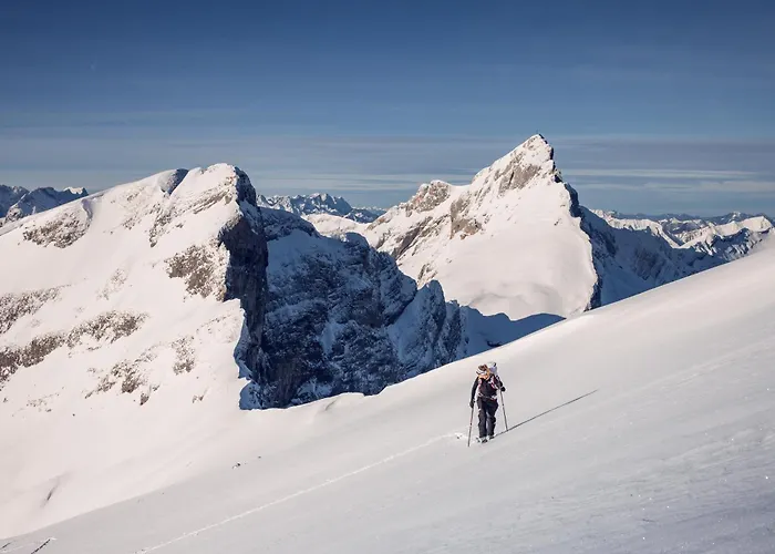 Kronthaler - Adults Only 4*