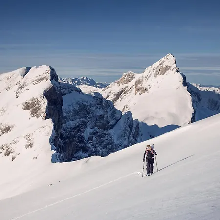 Kronthaler - Adults Only 4*